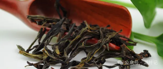 潮叶记-探索极致,专注有机凤凰单丛茶插图2潮叶记-探索极致 潮叶记-探索极致,专注有机凤凰单丛茶插图2潮叶记-探索极致