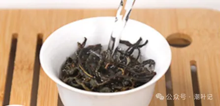 泡好一杯单丛茶,泡茶技巧插图4潮叶记-探索极致 泡好一杯单丛茶,泡茶技巧插图4潮叶记-探索极致
