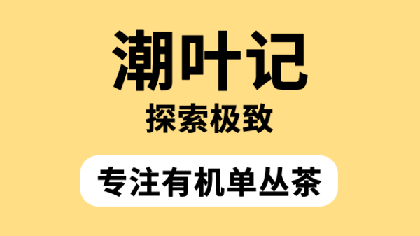 凤凰山脉的瑰宝：潮叶记单丛茶，纯净与珍贵的味觉盛宴