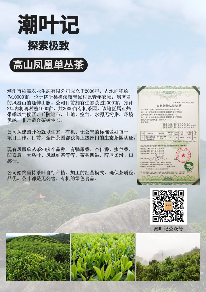 潮叶记单丛茶礼盒装隆重上市插图4潮叶记-探索极致